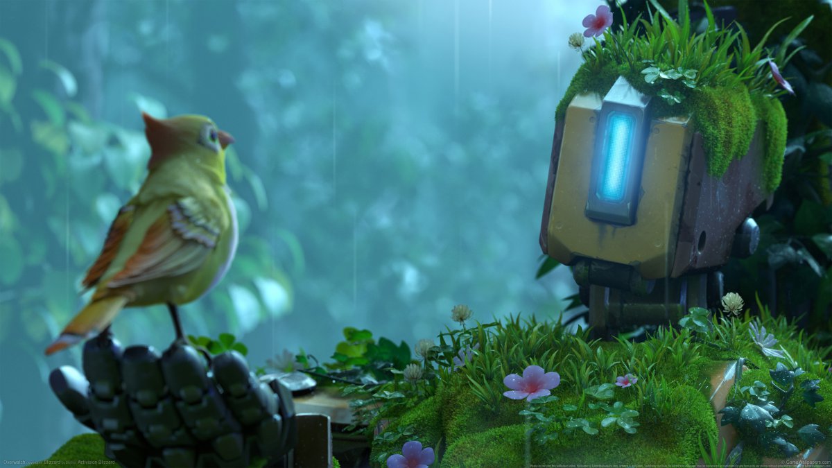 ȷ/Overwatch 4KϷͼƬ