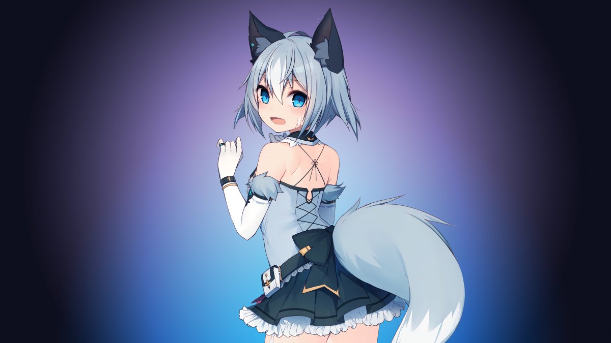 Fluffy Cat èβŮ4KͼƬ