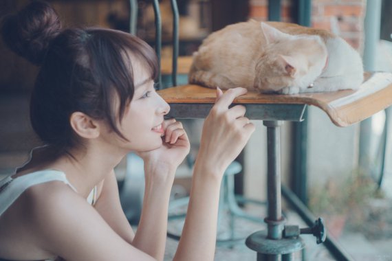 Ů����è4kͼƬͼƬ