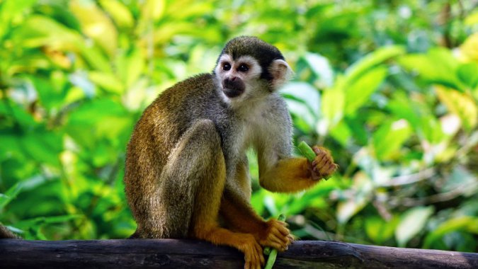 ����ɭ�֣��������4K����ƬͼƬ