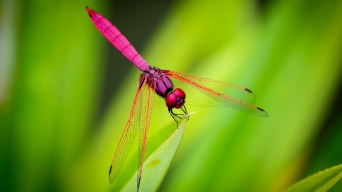 �죬���ѣ��࣬�ݣ������黯ͼƬ