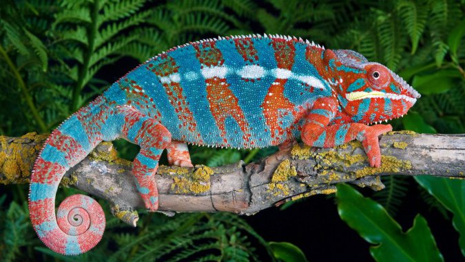 ֵıɫ 5120 2880 5kMACͼƬ