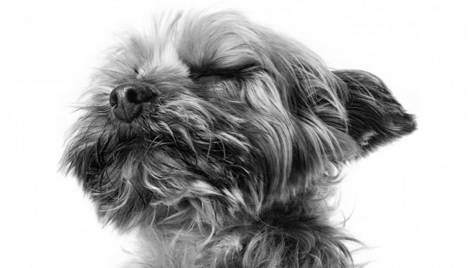  5120 2880 MAC 5kͼƬ