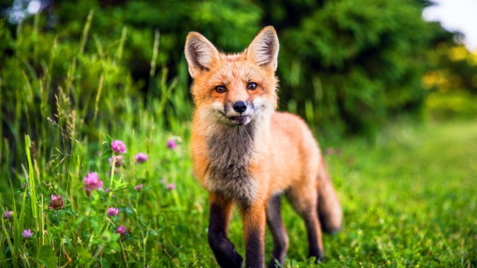 ԭҰ꣬дͷ4KͼƬ