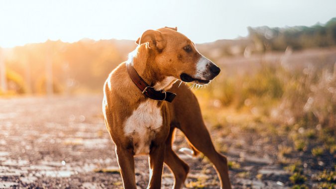 䣬2022ƷʣƬͼƬ