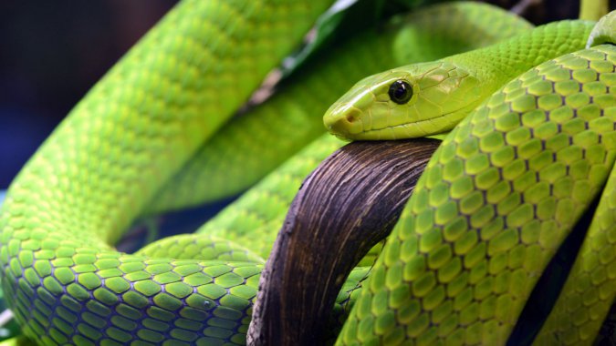 ɫۣ2022壬ƬͼƬ