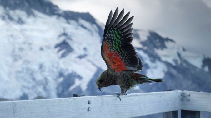 ��ɽ�и�ͼƬ