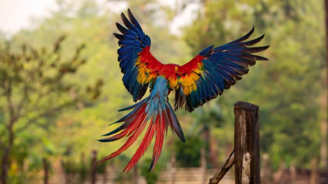 ģУë2022壬ͼƬ