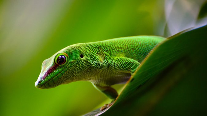 ڻ棬ж2022壬ͼƬ