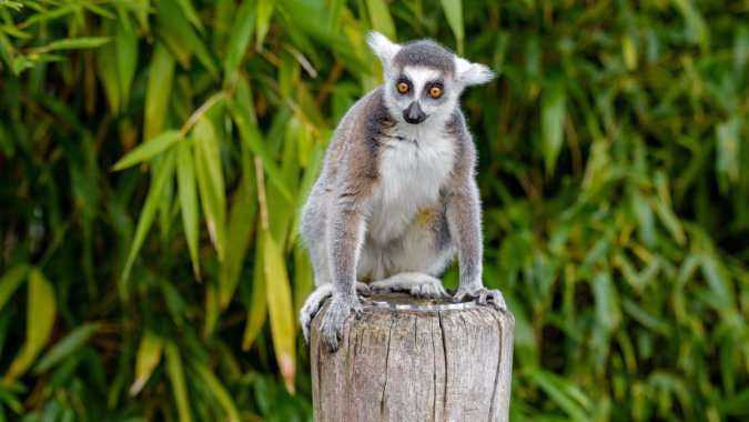 ɰ2022壬ƬͼƬ