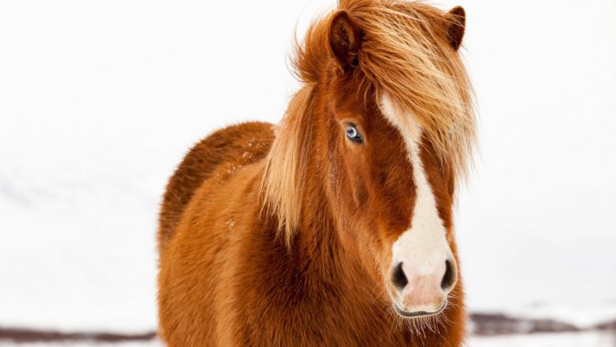 �����������������������ͼƬ