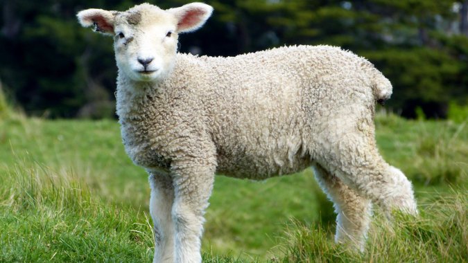 �ݰ���2022������������ƬͼƬ