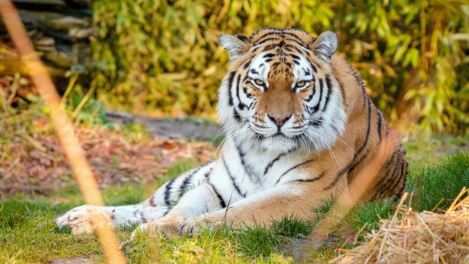 ������ʳ�ߣ����֣�2022��������壬��ƬͼƬ