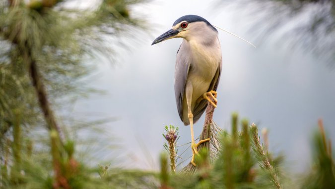 ���֣�ҹ�أ�2022�������Ʒ�ʣ���ƬͼƬ