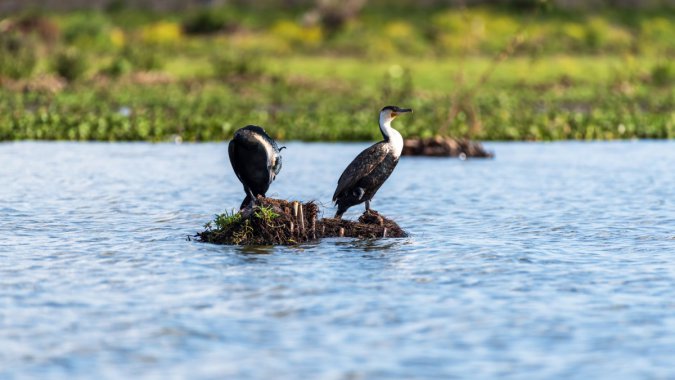 ��ˣ�2022����Ʒ�ʣ���ƬͼƬ