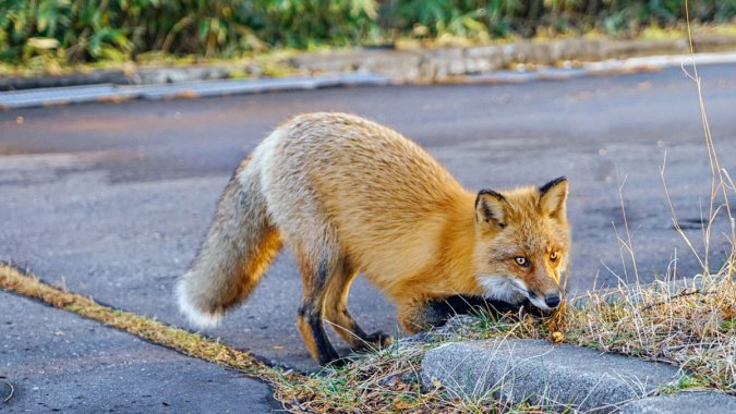 ������Ұ����2022���߻��ʣ���ƬͼƬ