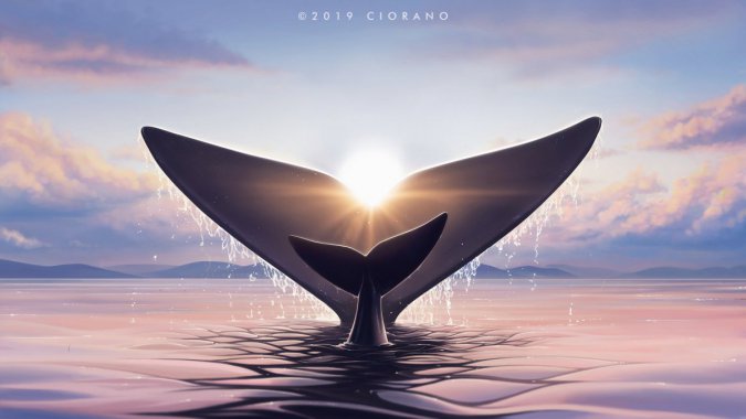 ������׾�ͼƬ