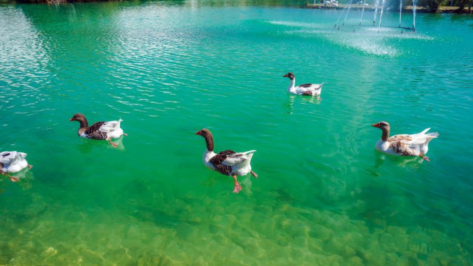 Ѽӣ2022ƷʣƬͼƬ