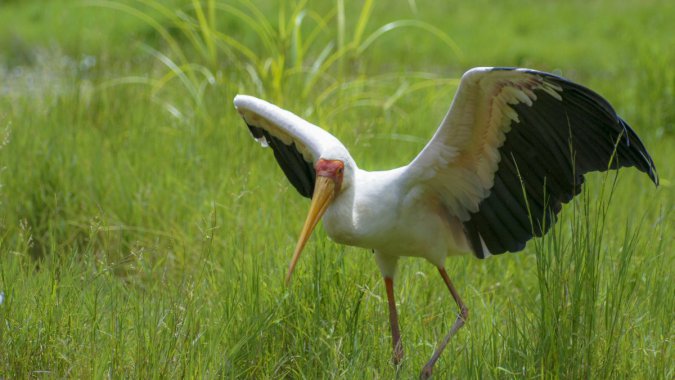 ɫ٣ʪأ2022ƷʣƬͼƬ