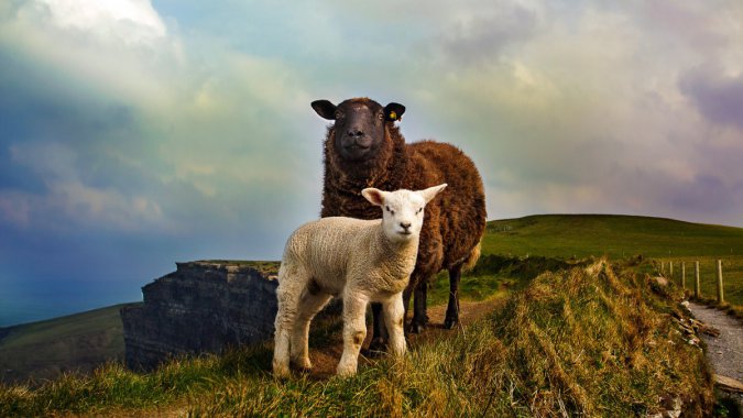 ɽ���ݵأ����ɽ��ͼƬ