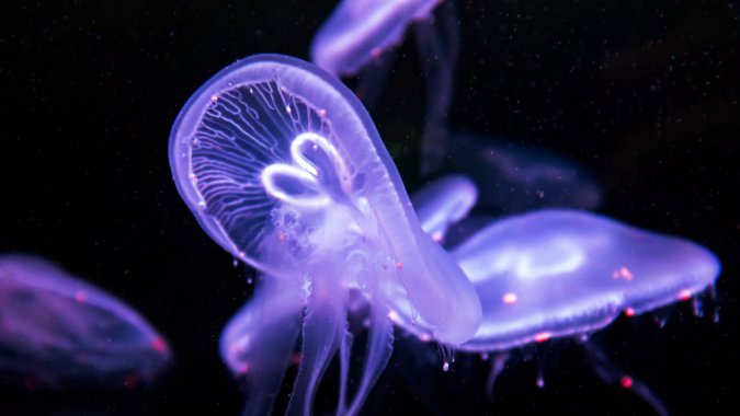 ɫˮĸ2022壬ӰͼƬ