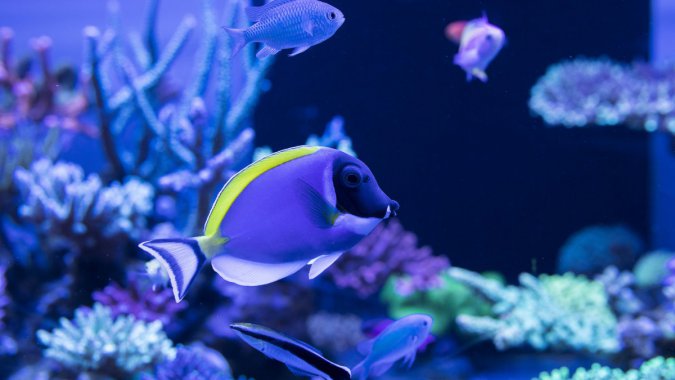 ��������㣬2022�������Ʒ�ʣ���ƬͼƬ