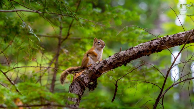 ɭ�֣�����2022��������壬��ƬͼƬ