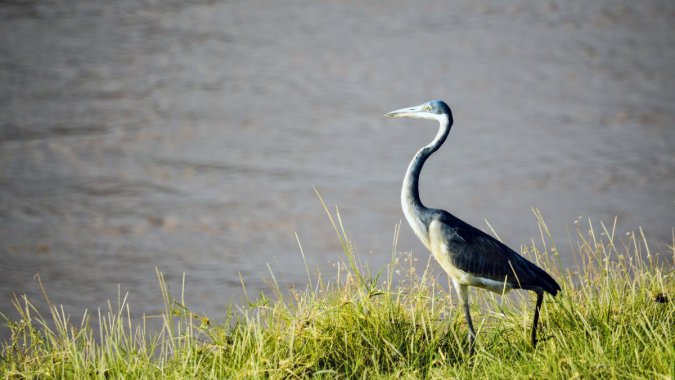 �������ݣ�����дͼƬ