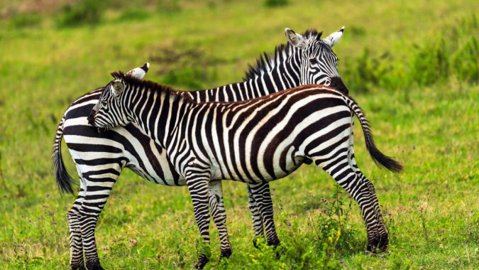 ��ԭ������2022������������ƬͼƬ