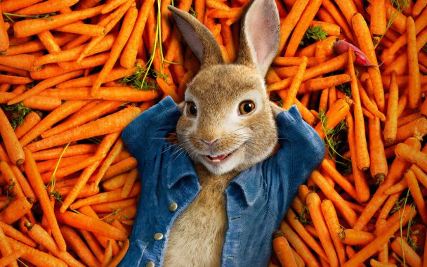 ˵Peter Rabbit 4kͼƬ