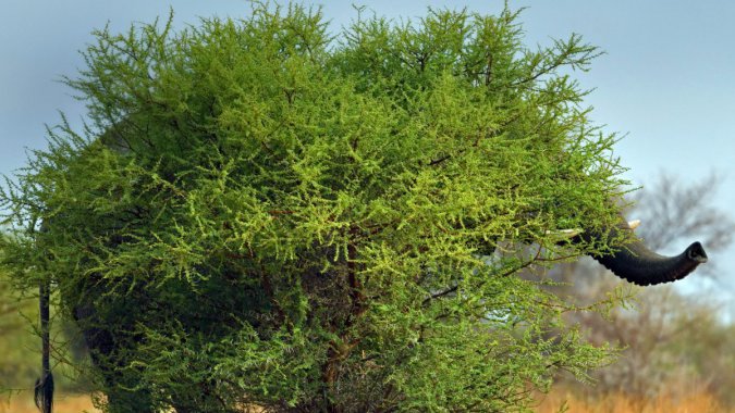 ҹ԰Ϸǣ2021꣬ӦͼƬ