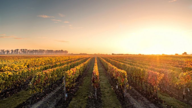 �＾�����ѣ�ׯ԰�����䣬����ͼƬ