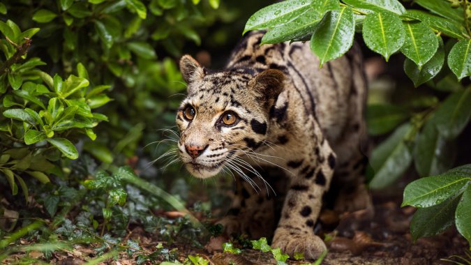 �Ĵ�Ѱ�ٵ�ӡ�ȱ���2022�꣬��Ӧ����������ͼƬ