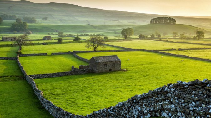 ˹ҹ԰Լ˿2021꣬BingͼƬ