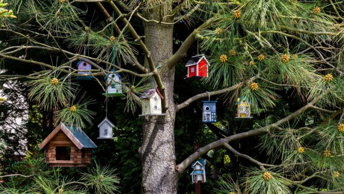 �������ᣬ2022�꣬��Ӧ����������ͼƬ