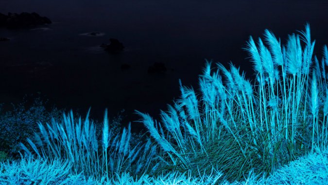 ҹڣApple2022MacOS4KͼƬ