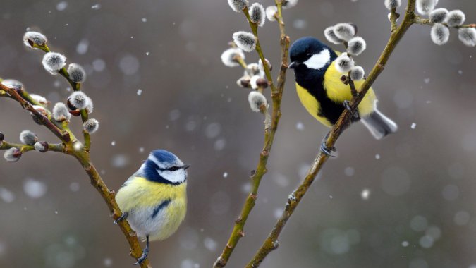 ��ȸ������ʡ������Ȼ��԰��2021�꣬Bing����������ͼƬ