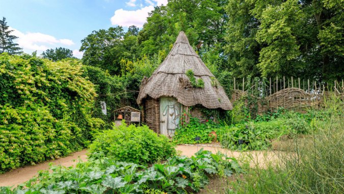 �¶�������԰������С�ݣ�2021�꣬Bing�����壬����ͼƬ