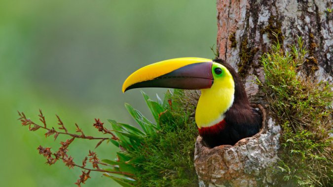 �����񣬴��֣���˹����ӣ�2022�꣬��Ӧ����������ͼƬ