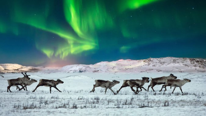 ⣬Ұѱ¹Ų2021꣬BinͼƬ