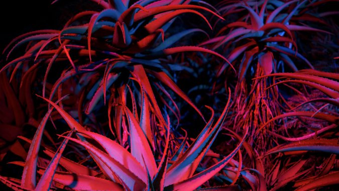 ����ֲ�ƻ����2022�꣬MacOS��4K����������ͼƬ