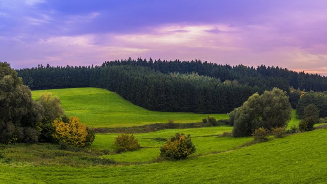 ˹ɽ羰 ɭ ̲ݵ 4k羰ͼƬ