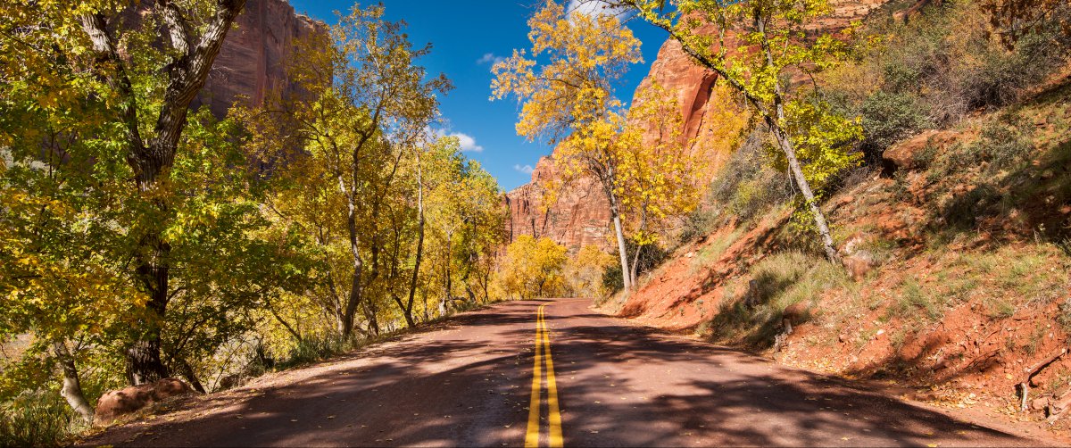 ҹ԰Zion NP·羰ͼƬ