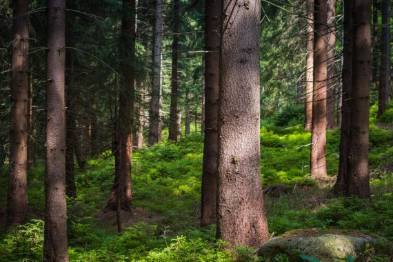  ɼ ɭ ̵ ɽ Ȼ羰5KͼƬ