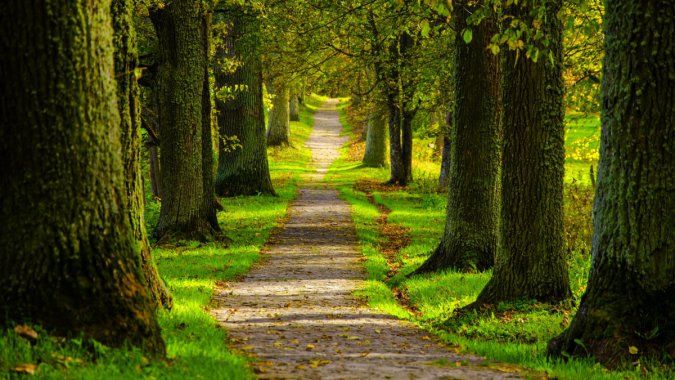  ԰ ɭ · ľ 4K羰ͼƬ