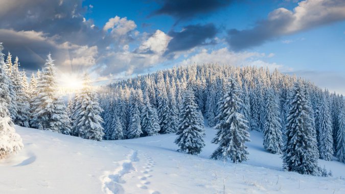 ѩ ӡ  ľ ɭ ճ 4K羰ͼƬ