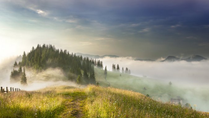 �� ̫�� ɽ ɭ�� 4K�羰ͼƬ
