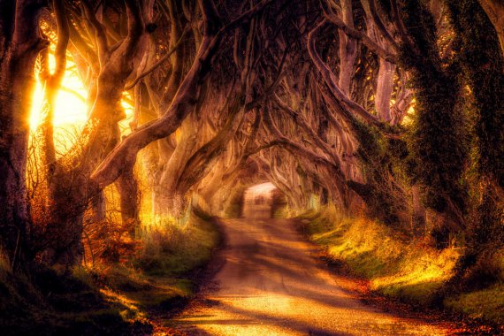 ɭֹ԰  Ҷ  · 4K羰ͼƬ