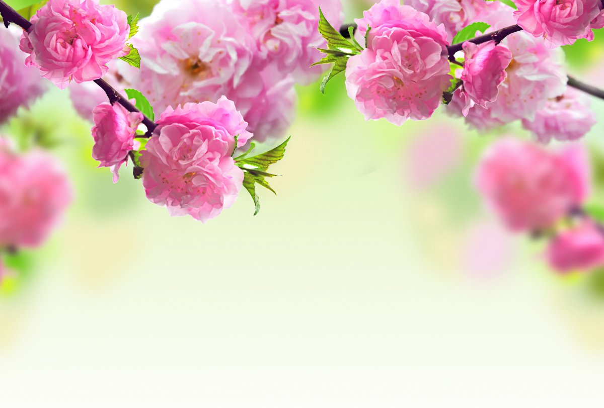 ,һ,֧,ۺɫһͼƬͼƬ