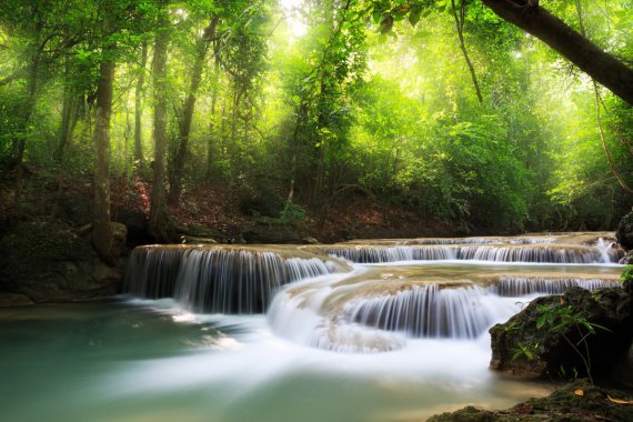 �ٲ�,ɭ��,��ľ,���,��,4K������Ȼ�羰ͼƬͼƬ